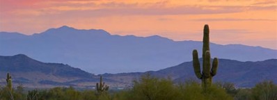 The Phoenix Mountain Preserve