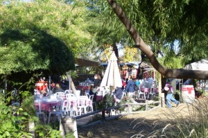 The Morning Glory Cafe at the Farm at South Mountain