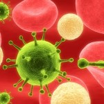 The Scottsdale Real Estate Investor: Bacterium or Probiotic?