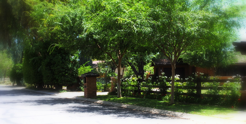 Paradise Valley Farms (vegetation) Paradise Valley Farms