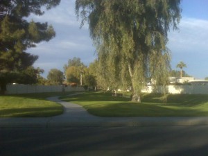 Paseo Village Greenbelt in McCormick Ranch