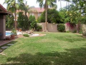 Backyard of a home in Paradise Park Manor