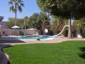 Paradise Park Trails Backyard & Pool