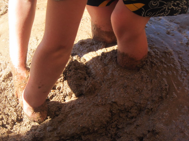 Mighty Mud Mania Quicksand Scottsdale Property Shop